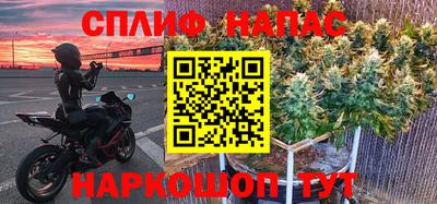 mdpv Ярославль