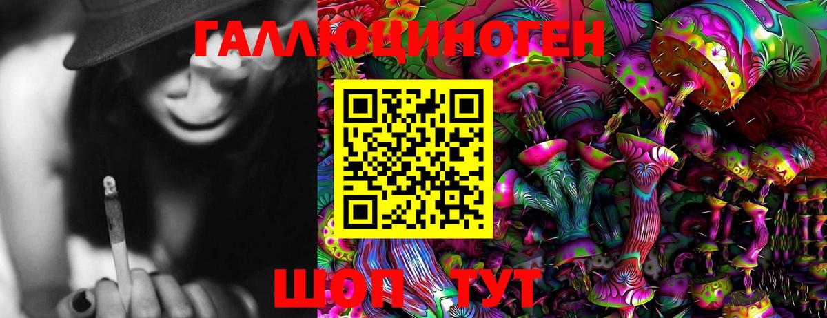 Псилоцибиновые грибы мухоморы Тамбов